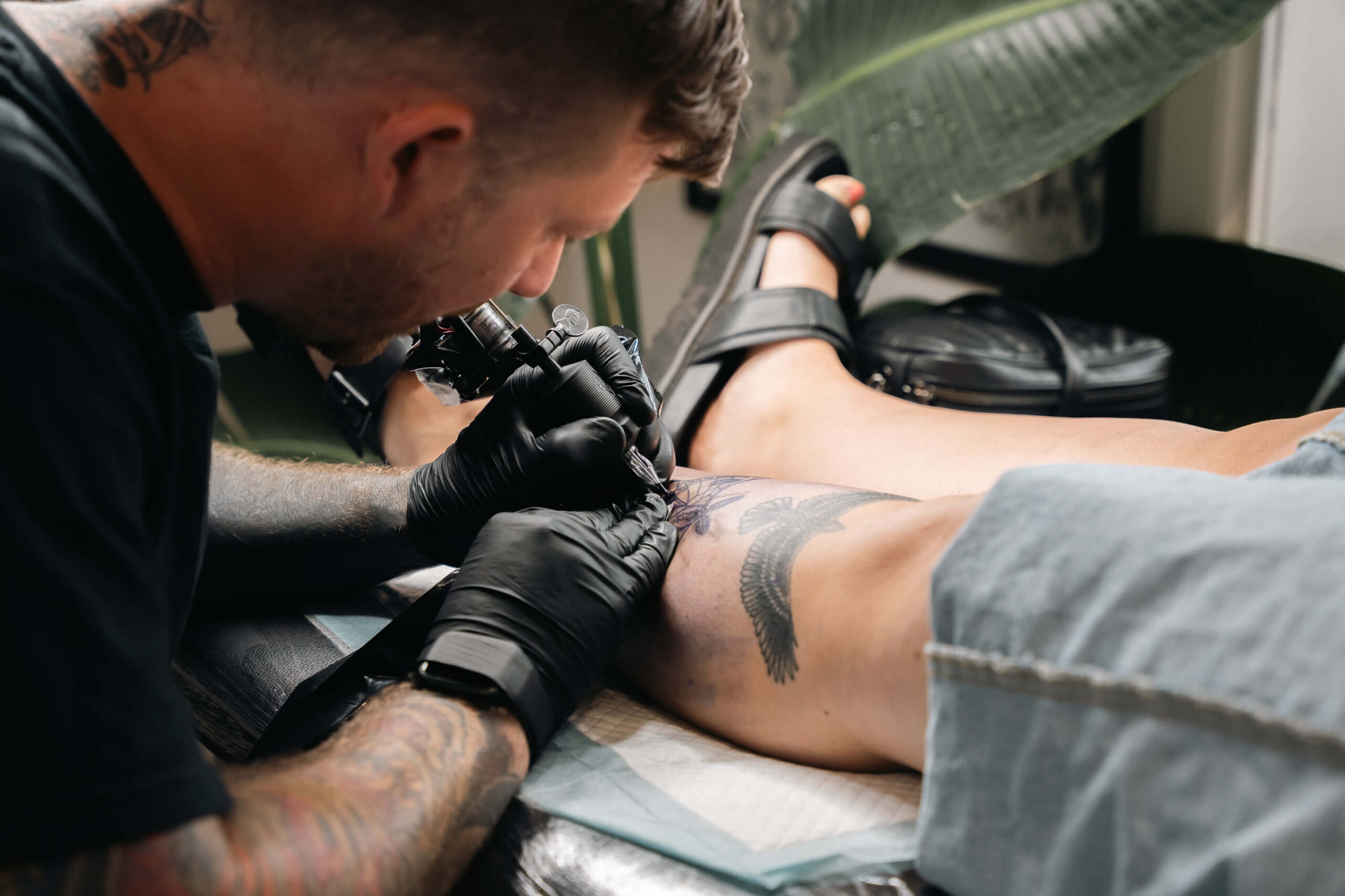 Tattoo artist working on a leg tattoo in a studio setting, with close-up of tattooing process and existing wing tattoo design