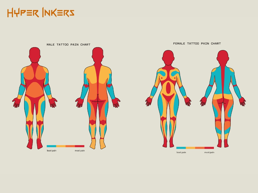 Tattoo Pain Chart